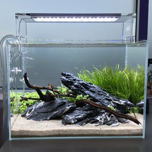 jasa pembuatan aquarium indoor 2