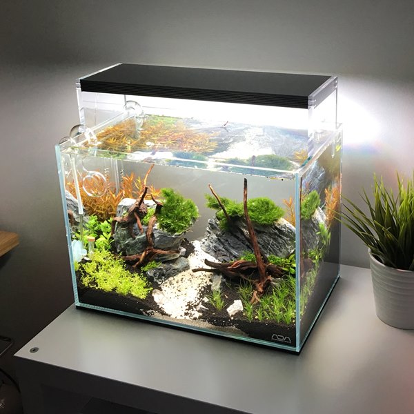 jasa pembuatan aquarium indoor 3