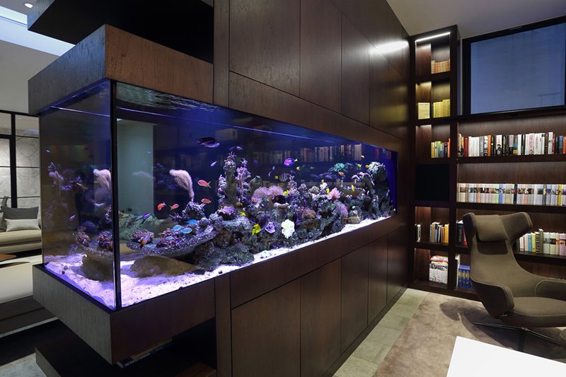 jasa pembuatan aquarium indoor 6