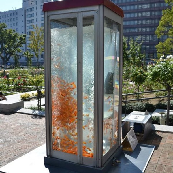 jasa pembuatan aquarium outdoor 1