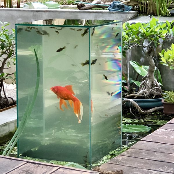 jasa pembuatan aquarium outdoor 2