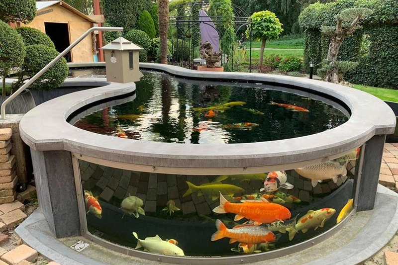 jasa pembuatan aquarium outdoor 4